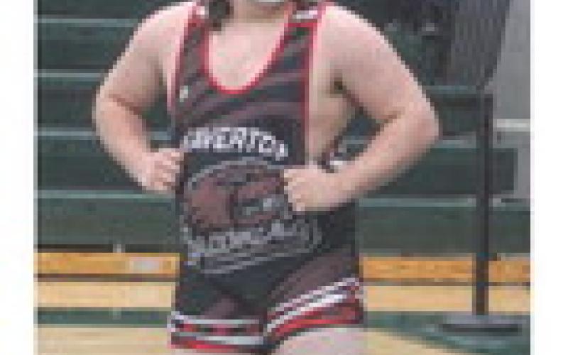 Seven local wrestlers qualify for Division 3 state meet at Ford Field