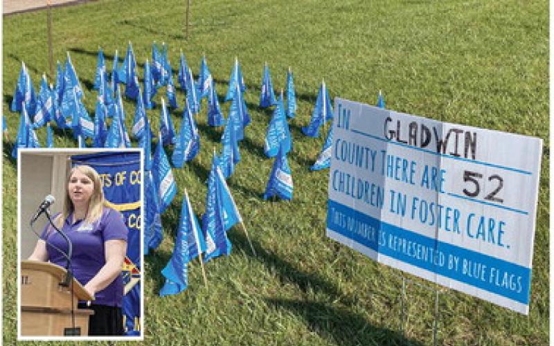Efforts underway to raise awareness of need for foster care