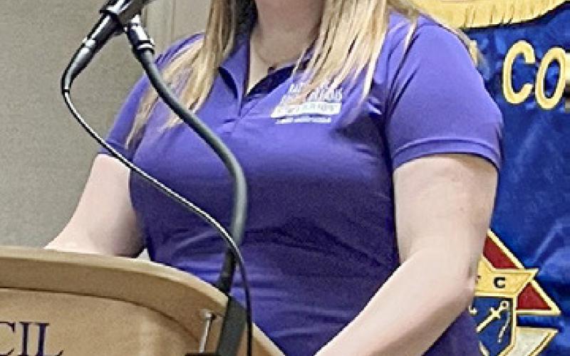 Flags signifying the number of children in foster care in Gladwin County line Cedar Ave. to raise awareness of the issue, which has a strong local advocate in Katie Lipka (inset).