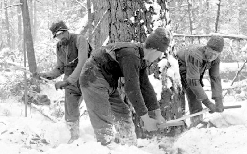 A LOOK BACK IN TIME | LOGGING IN GLADWIN COUNTY