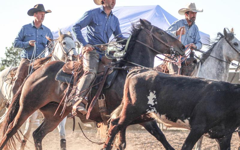 Rodeo packs ‘em in at Fairground