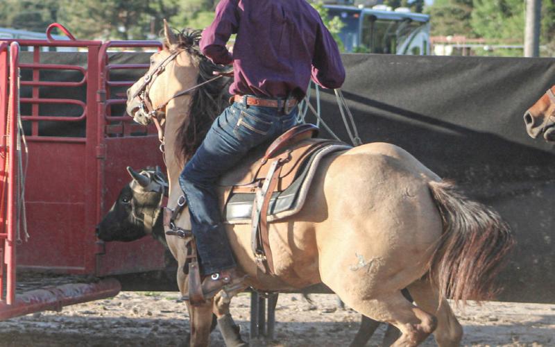 Rodeo packs ‘em in at Fairground