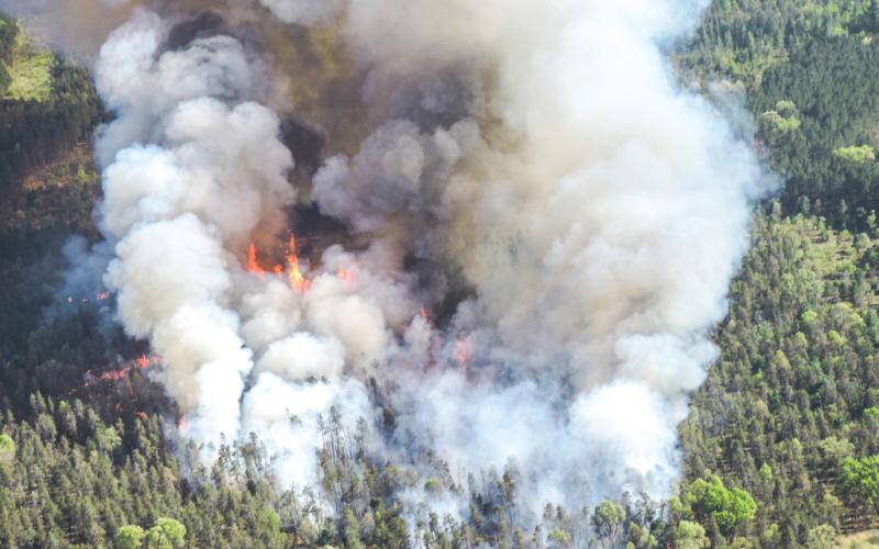 Columns of smoke and flames cross the landscape in Wexford County as part of the 136-acre Fife Lake Outlet Fire on May 28, 2023.