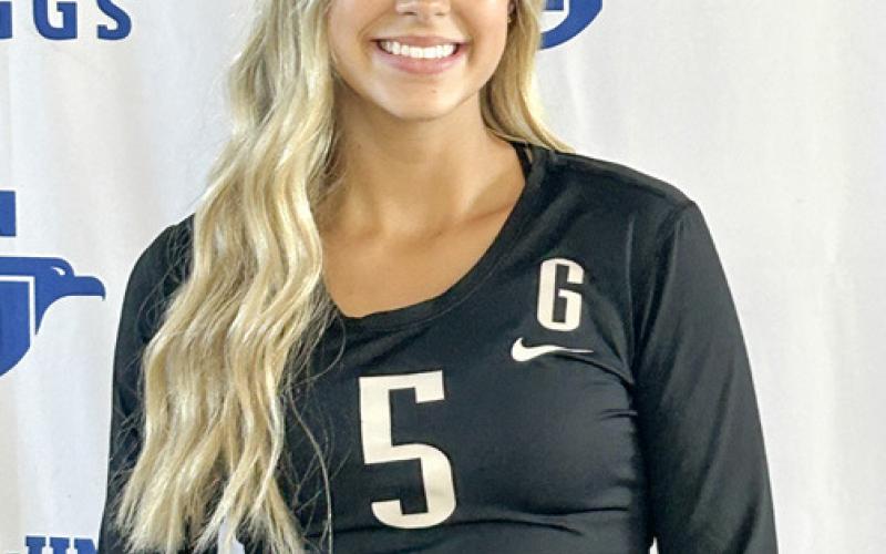 Division champ Beavers top JPC volleyball honor squad