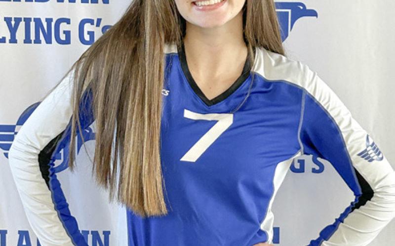 Division champ Beavers top JPC volleyball honor squad