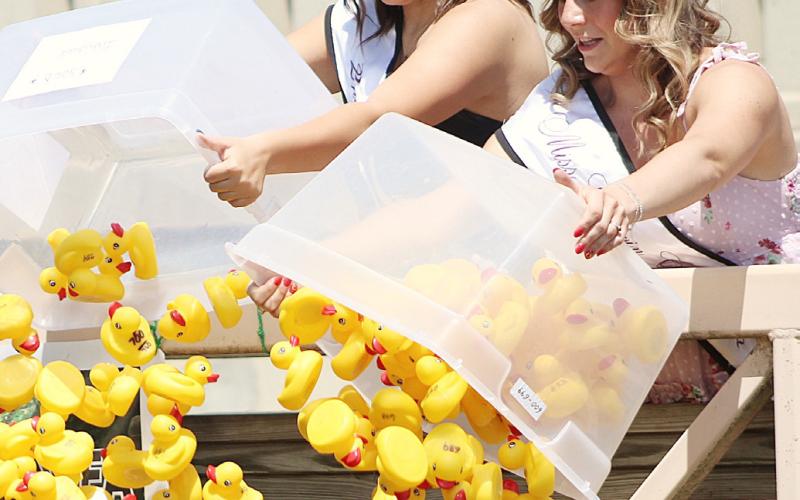 HOSPICE DUCK RACE A BIG SUCCESS