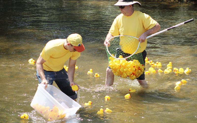 HOSPICE DUCK RACE A BIG SUCCESS