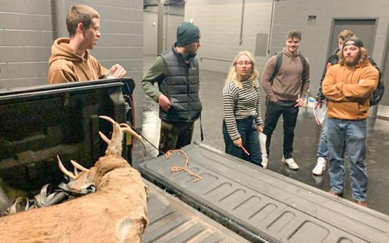 Northern Michigan University students examine a fake deer carcass loaded in the back of a hunter’s truck. Students in the university’s Conservation Law Enforcement program investigate several mock crime scenes to learn how to investigate environmental crimes. JEREMY SERGEY