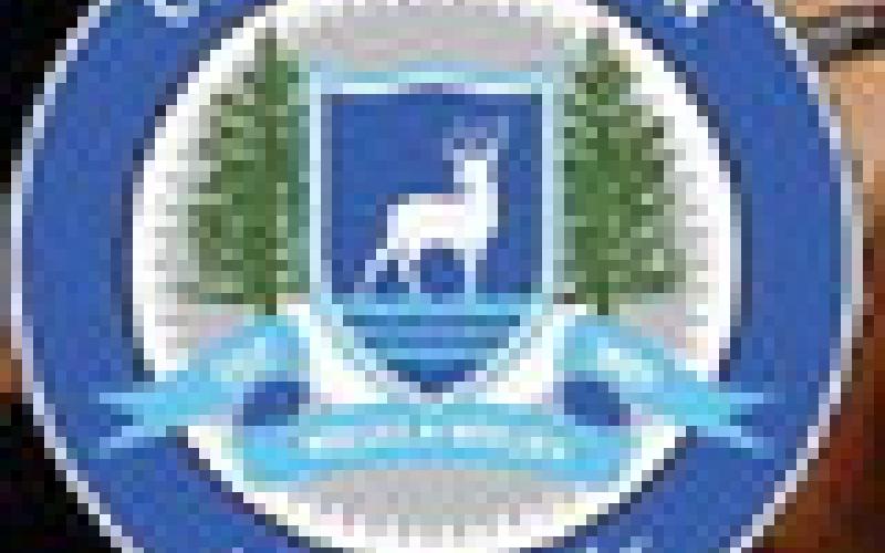 Gladwin City Council wants a background check before extending Hines’ deal