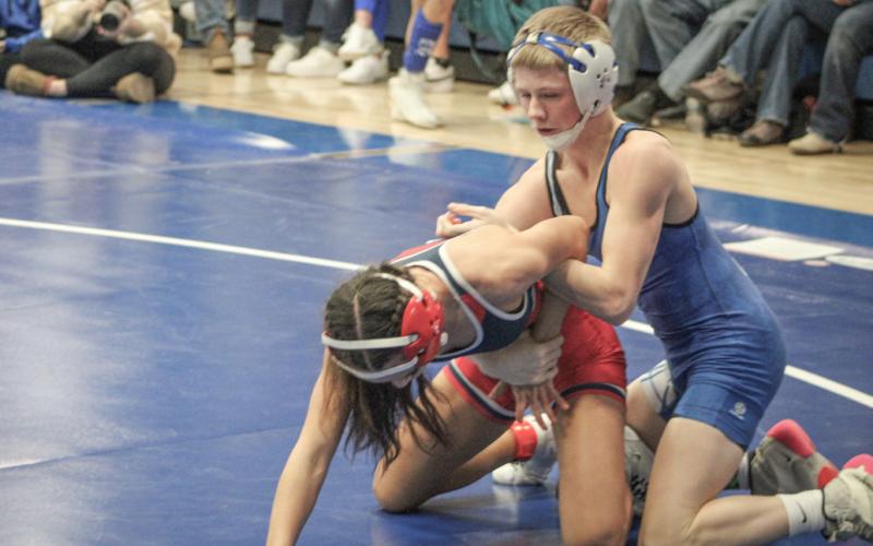 Gladwin’s Brady Demory grappled his way to earning both All-State and All-Jack Pine Conference honors this season.