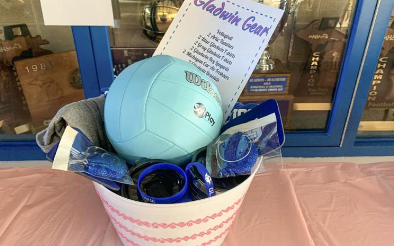 DIG PINK EVENT RAISES FUNDS