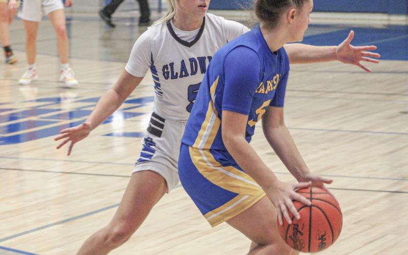 Gladwin’s Breanna Campbell applies the defensive pressure during Thursday night’s victory over Harrison, the first of the season for the Flying G’s.