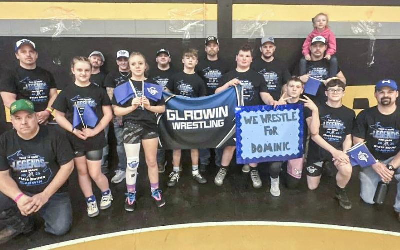 Gladwin youth wrestle for Dom at state meet