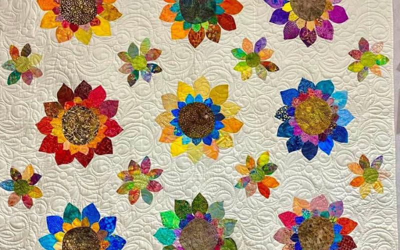 Gladwin Area Showcase of Quilts Oct. 18-19