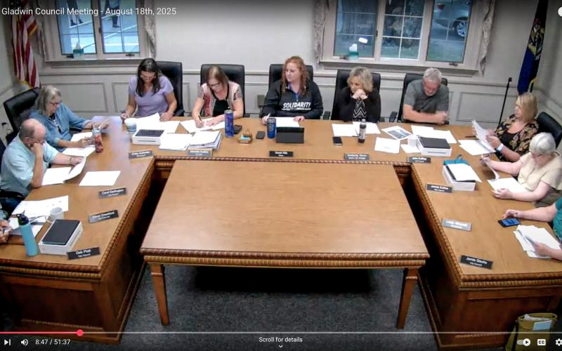 Gladwin City Council zips through Agenda