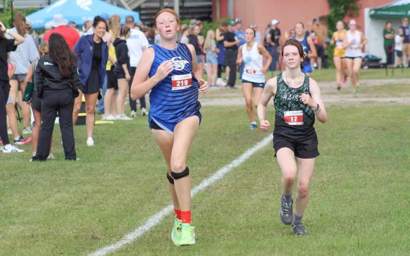 Alanis Povey finished in the top 20 and helped Gladwin place third in the team standings Saturday at the Northwood Invitational.