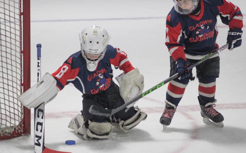 Mites take the ice with their idols