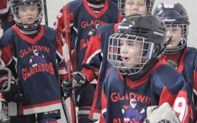 Mites take the ice with their idols
