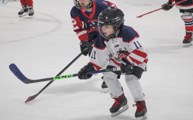 Mites take the ice with their idols