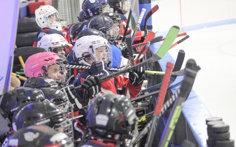 Mites take the ice with their idols