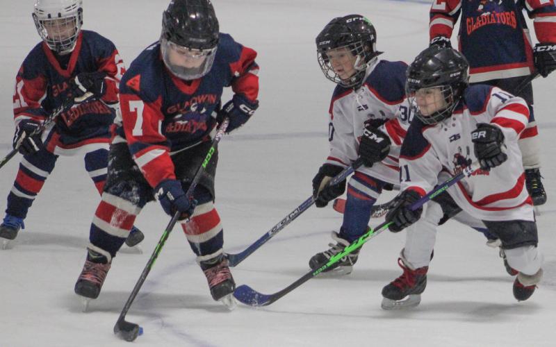 Mites take the ice with their idols