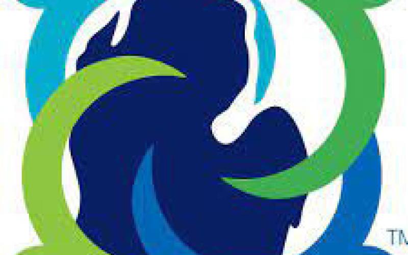 Dallas Rau hired as Executive Director of the Great Lakes Bay Mental Health Partnership