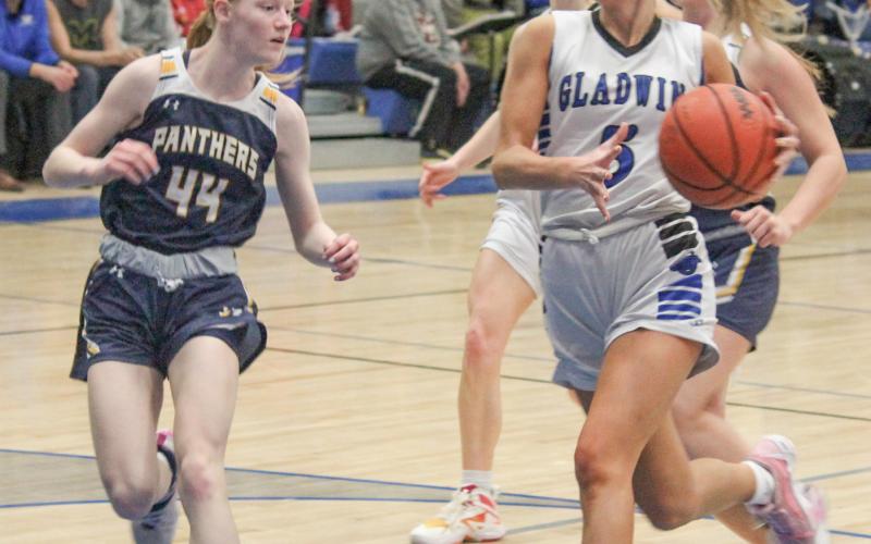 Breanna Campbell and Gladwin beat Standish during the regular season, but lost a rematch with the Panthers last Wednesday in the Division 2 district semifinals.