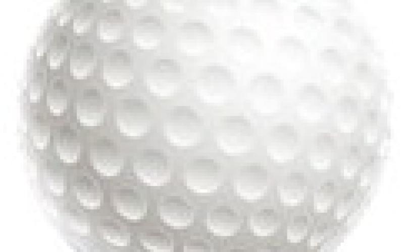 Gladwin golf team just misses the cut for state tourney