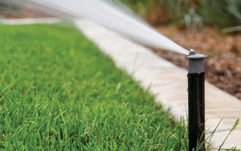 How to Grow a Greener Lawn