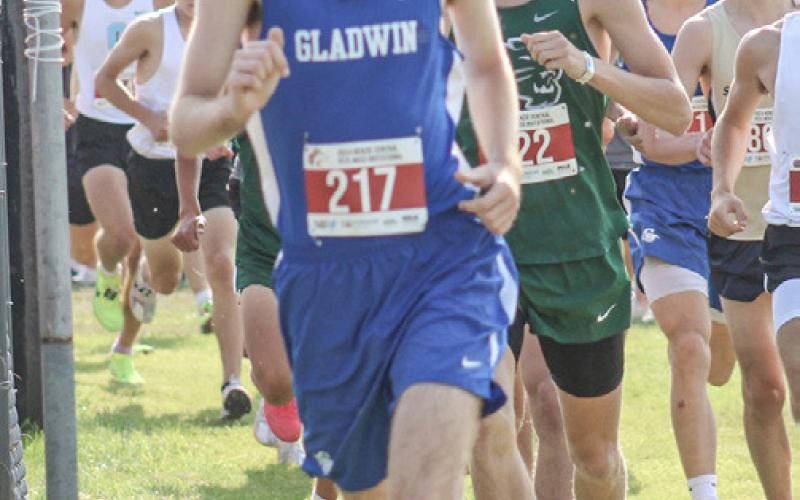 Gladwin’s Christensen breaks school record at cross country opener