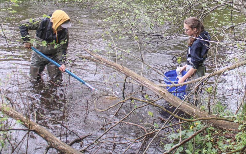Volunteers help test Cedar River water quality