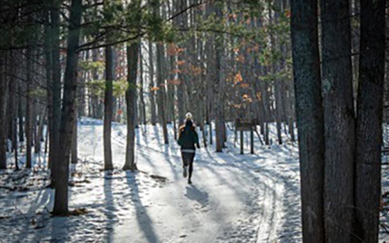A runner makes her way up a snowy hill on the VASA Pathway on the east side of Traverse City in Grand Traverse County.