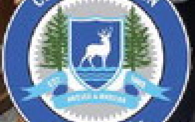 City Council votes to diversify investments