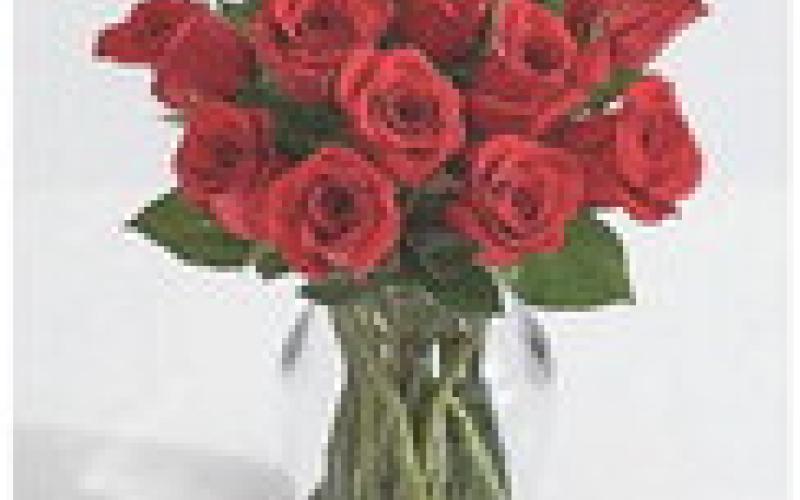 Order Kiwanis Sweetest Day Roses