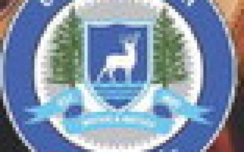 Gladwin City Council met at its first Regular Meeting of the Gladwin City Council on Jan. 5. YOUTUBE