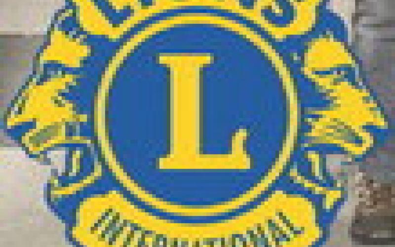 Lions donate handicap swing to City of Beaverton