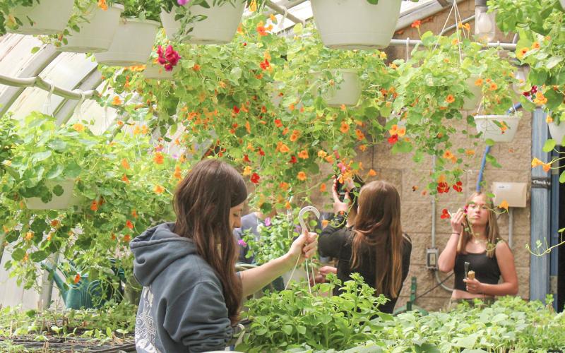 GHS 25th annual Plant Sale May 10