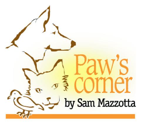 Pet’s allergies blossom in spring