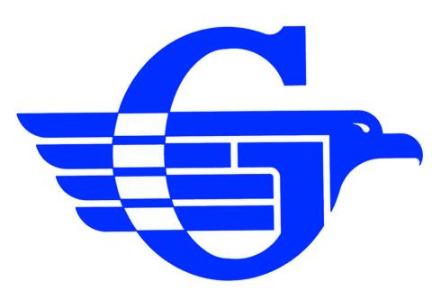Gladwin girls lose hoop opener