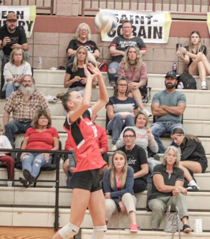 Trinity Danielak and Beaverton beat St. Louis during the regular season, but dropped a rematch with the Sharks in last Wednesday’s Division 3 district semifinal.