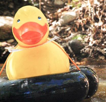 Hospice of Gladwin Area celebrates Great Cedar River Duck Race