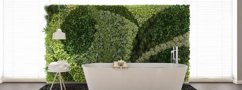 How to Build a Living Wall