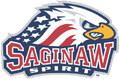 Saginaw Spirit Warriors Anniversay Celebration