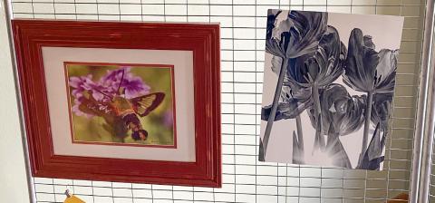 LOCAL ARTIST WORK DISPLAYED