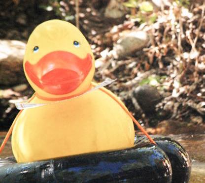 Hospice of Gladwin Area celebrates Great Cedar River Duck Race