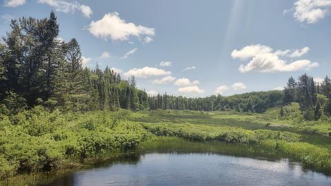 The property extends over 73,000 acres and thanks to grant funding, will now be protected and available for Michiganders to enjoy for generations.