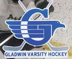Gladwin hockey team learns its lessons after successful first season