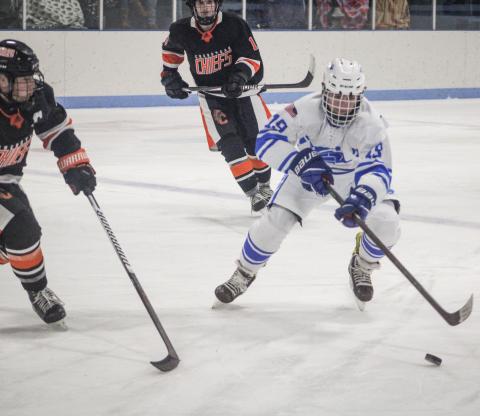 Gladwin hockey skates into D-3 regional with two more victories