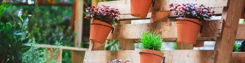 Woodworking Projects for Beginners Using Pallets