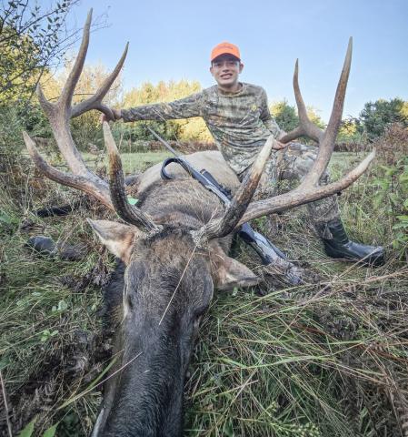 ELK TAKEN